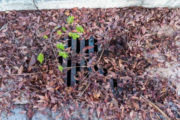Yard Drain Unclogging