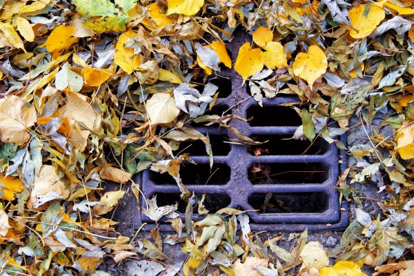 Yard Drain Blockage Removal